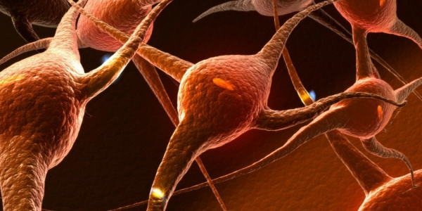 Best vitamins for memory and brain image 6