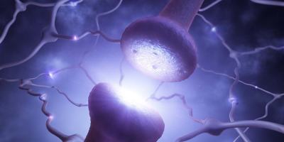 close up of brain synapse